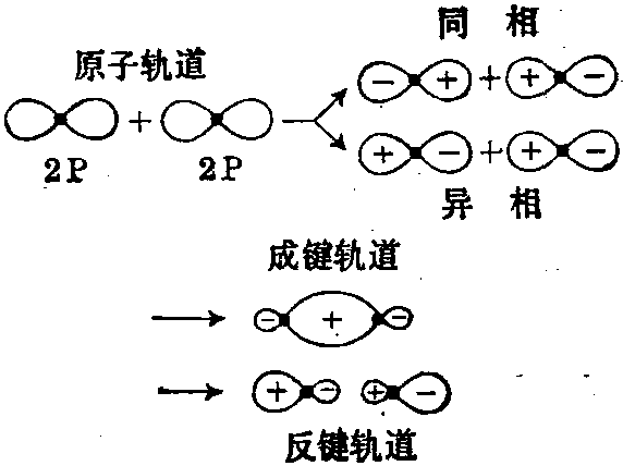 指原子轨道的*波函数同相时线性组合得到的分子轨道.